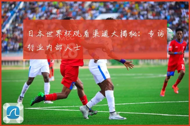 日本世界杯观看渠道大揭秘：专访行业内部人士