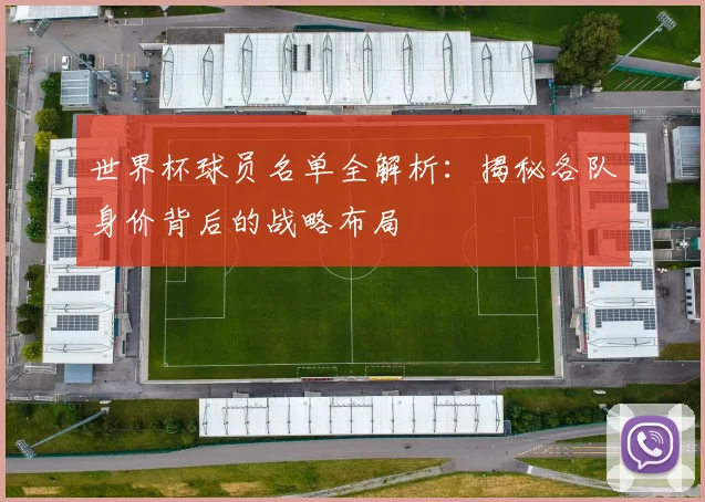 世界杯球员名单全解析：揭秘各队身价背后的战略布局