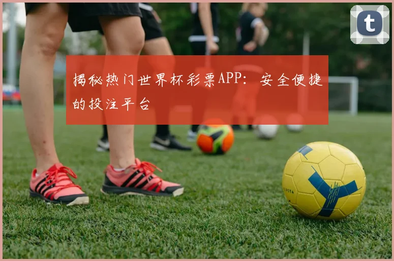揭秘热门世界杯彩票APP：安全便捷的投注平台