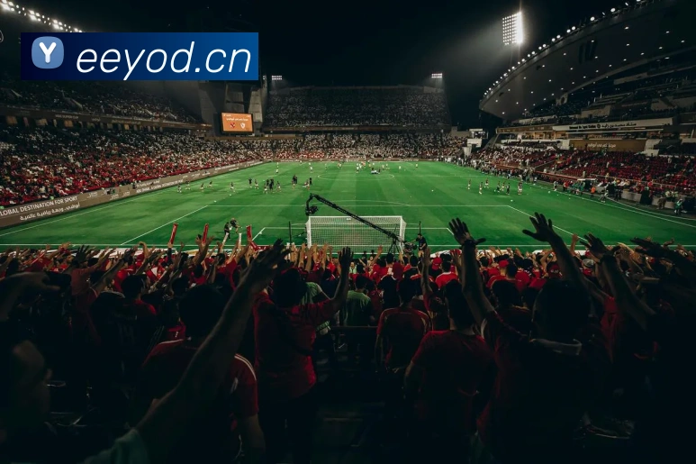 mksports官方网站品牌故事